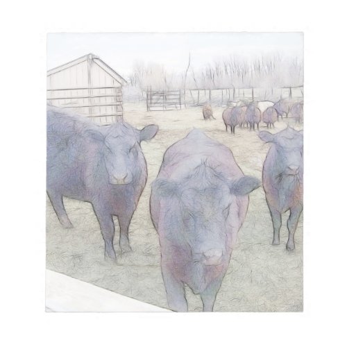 Curious Young Black Angus Notepad