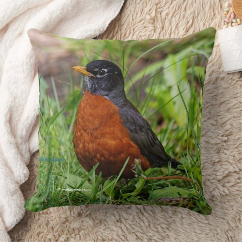 CuriousAmerican Robin Songbird in the Grass Throw Pillow