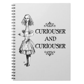 Curiouser and Curiouser Notebook