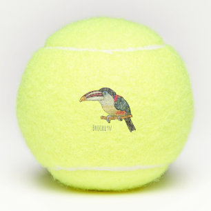 Curl crested aracari bird cartoon illustration tennis balls