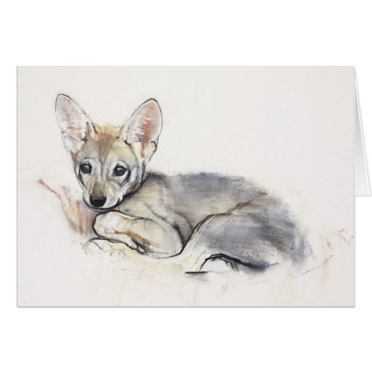 Curled Arabian Wolf Pup 2009 Cards (Front Horizontal)