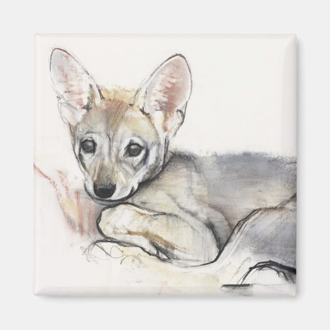 Curled Arabian Wolf Pup 2009 Magnet (Front)