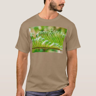 Curled fern leaf 2 T-Shirt