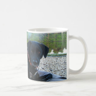 curled up doggie coffee mug