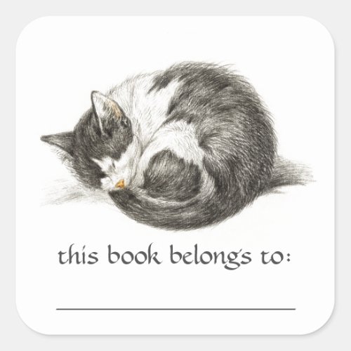 Curled Up sleeping Cat Bookplate Stickers