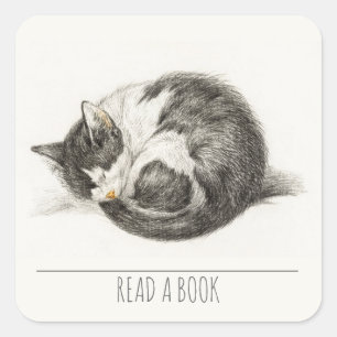 Curled Up Sleeping Cat Square Sticker