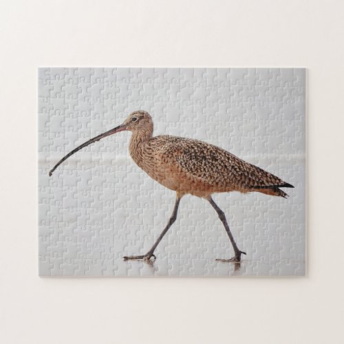 Curlew Bird Beach Walk Nature Puzzle