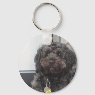 CURLEY KEY CHAIN