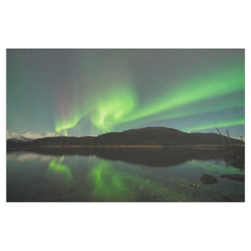 Curling Aurora Fabric