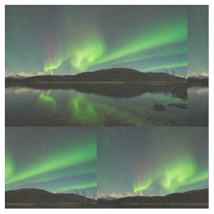 Curling Aurora Fabric