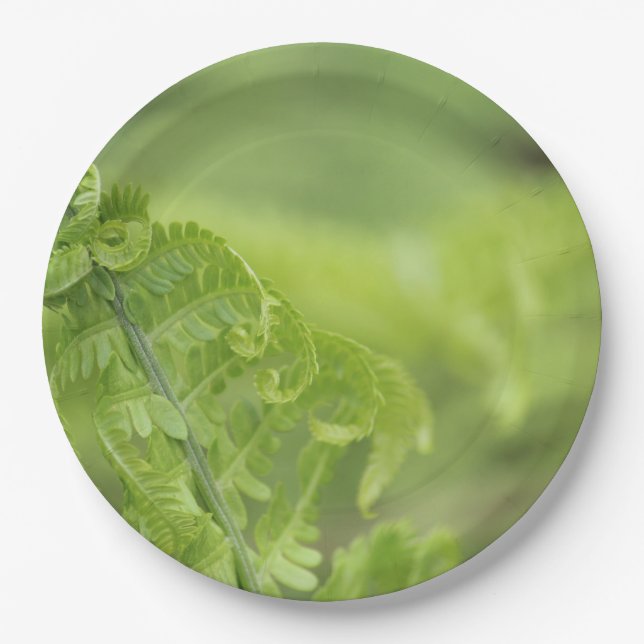 Curling Fern Leaves, Greenery, Blurred Background Paper Plates (Front)