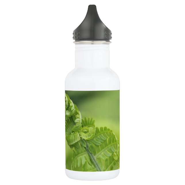 Curling Fern Leaves, Greenery, Blurred Background Stainless Steel Water Bottle (Left)