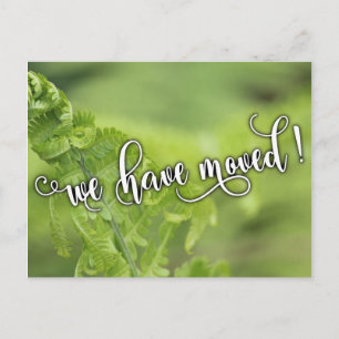 Curling Green Ferns Photo "We have moved" Notice Announcement Postcard