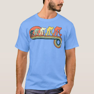 Curling Stone Ice Retro Vintage Sunset Rainbow Col T-Shirt