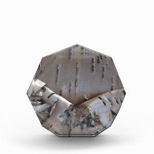 Curly Birch Bark Tree Rustic Acrylic Award