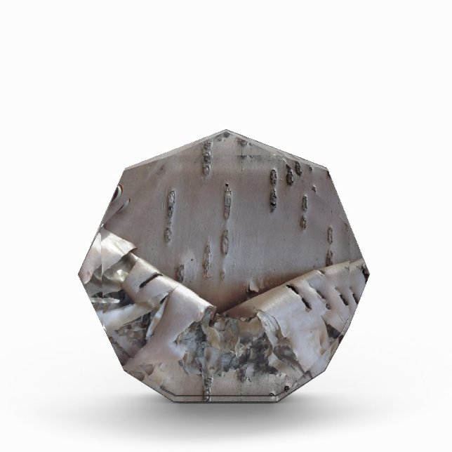 Curly Birch Bark Tree Rustic Acrylic Award (Front)