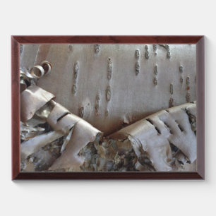Curly Birch Bark Tree Rustic Award Plaque