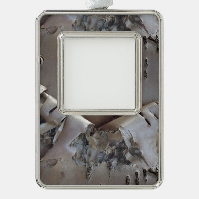 Curly Birch Bark Tree Rustic Christmas Ornament (Front)