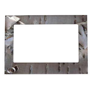 Curly Birch Bark Tree Rustic Magnetic Frame
