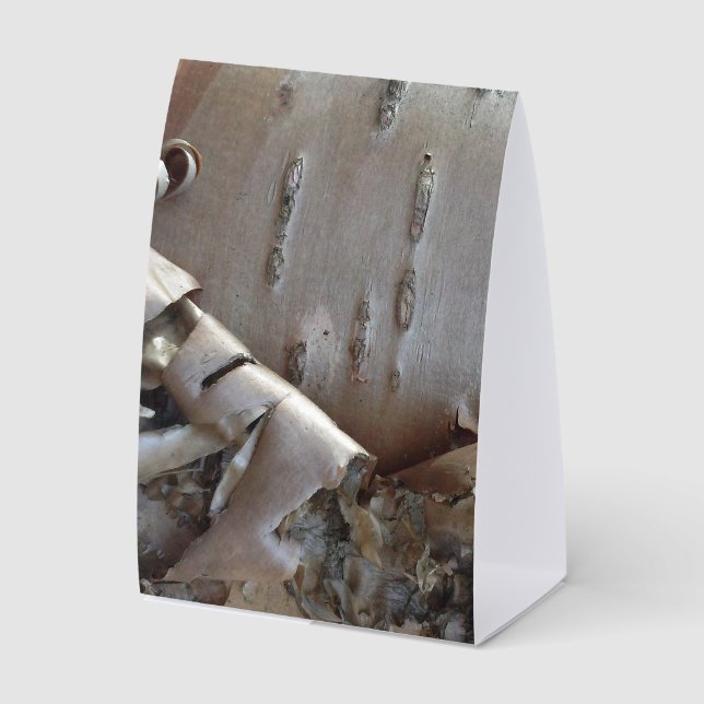 Curly Birch Bark Tree Rustic Paper Table Tent (Front)