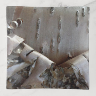 Curly Birch Bark Tree Rustic Trinket Tray