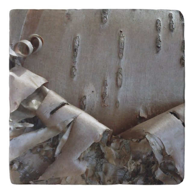 Curly Birch Bark Tree Rustic Trivet (Front)