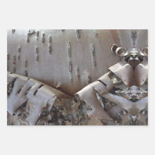 Curly Birch Bark Tree Rustic Wrapping Paper Sheets (Front)