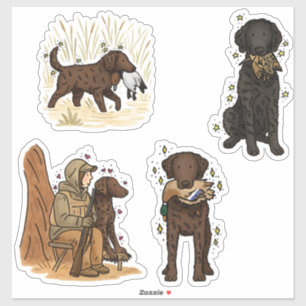 Curly Coated Retriever Car Decal