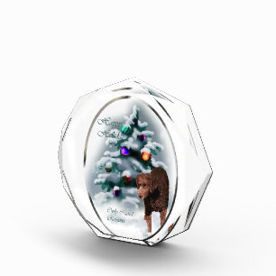 Curly Coated Retriever Christmas Award