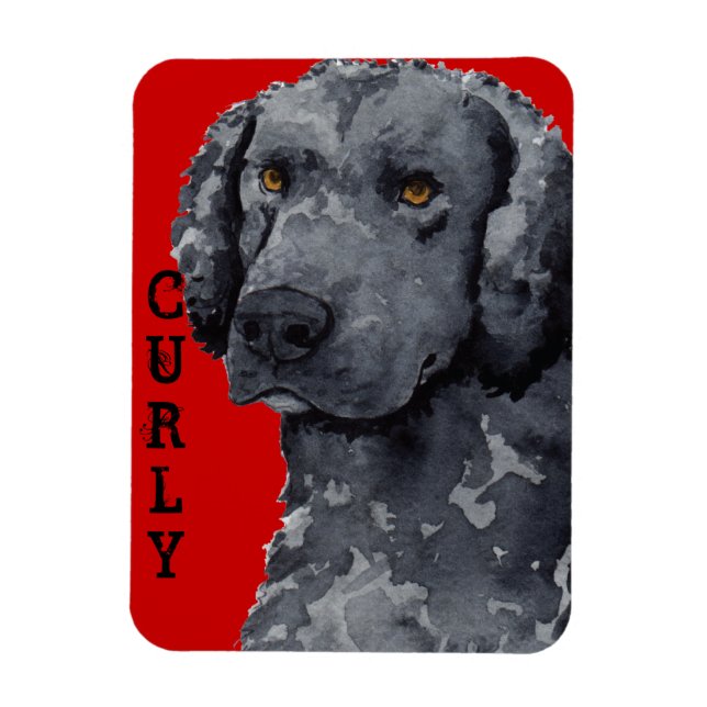 Curly-Coated Retriever Color Block Magnet (Vertical)