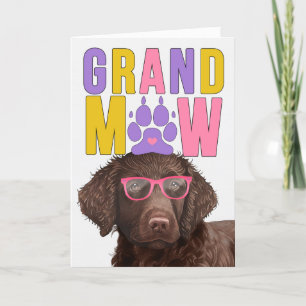Curly Coated Retriever Dog Funny Grandparents Day Holiday Card