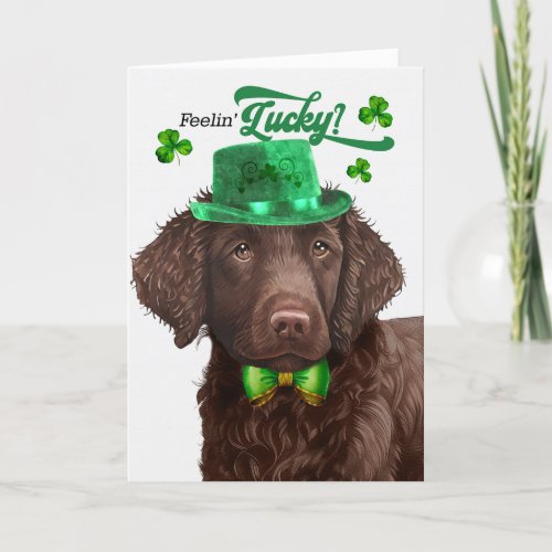 Curly Coated Retriever Dog Lucky St Patricks Day Holiday Card