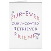 Curly-Coated Retriever Furever (Front)