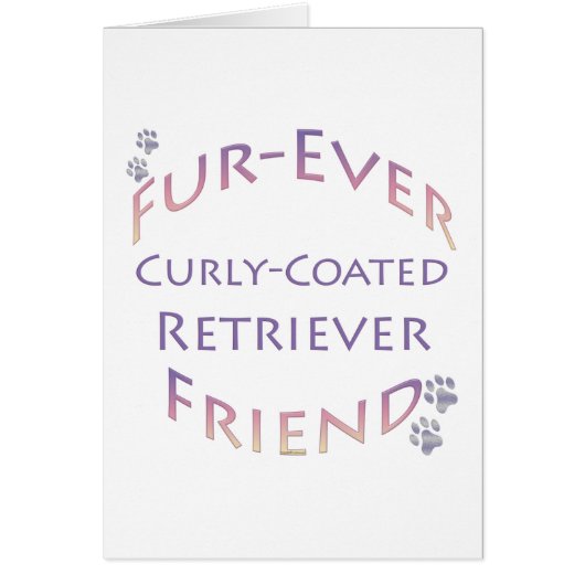 Curly-Coated Retriever Furever (Front)