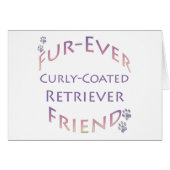 Curly-Coated Retriever Furever (Front Horizontal)