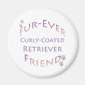 Curly-Coated Retriever Furever Magnet