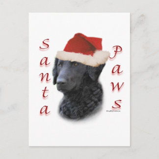 Curly-Coated Retriever Santa Paws Holiday Postcard