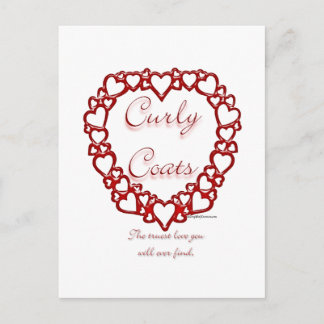 Curly-Coated Retriever True Love Postcard