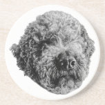 Curly Companion Coaster