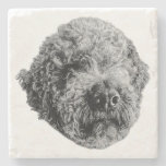 Curly Companion Stone Coaster