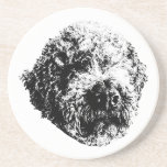 Curly Crest Coaster