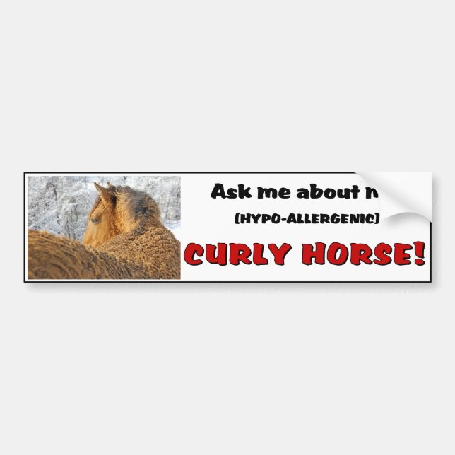 Curly Horse Bumper Sticker 1 (Front)