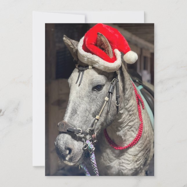 Curly Horse Christmas card (Front)