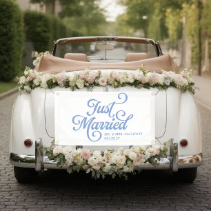 Curly Just Married Car Banner