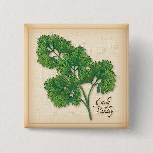 Curly Parsley Herb Button