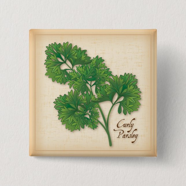 Curly Parsley Herb Button (Front)