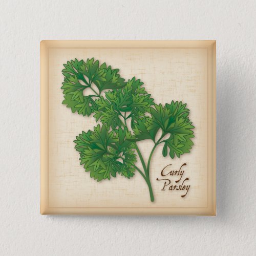 Curly Parsley Herb Button