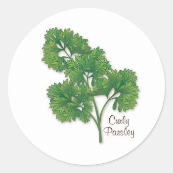 Curly Parsley Round Sticker by pomegranate_gallery at Zazzle