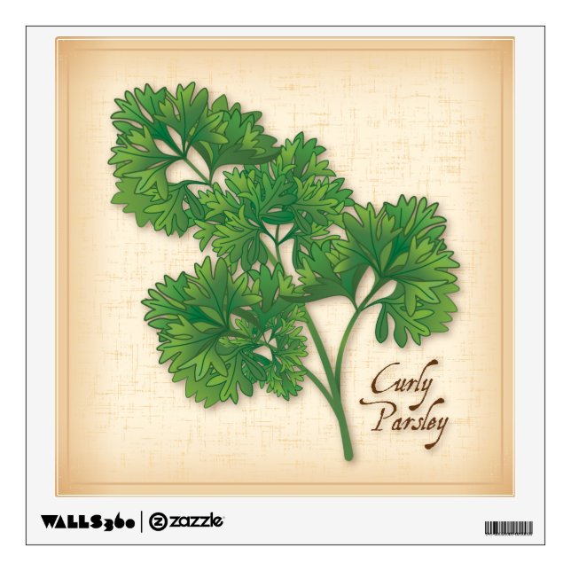 Curly Parsley Wall Decal (Front)