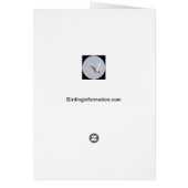 Curly Piggy Tail (Back)